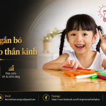 Lý thuyết gắn bó và tính dẻo thần kinh  Vì sao những trải nghiệm đầu đời có thể ảnh hưởng đến con nhưng không quyết định tương lai của con?